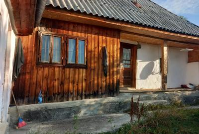 Casă în Paltin