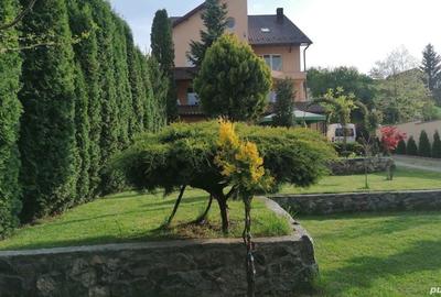 Ofer 2 locuri camera- inchiriere-370 Lei Pers. Luna - Pitesti - 2