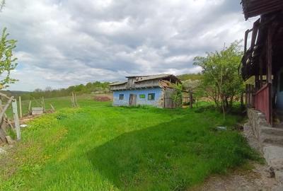 Casă cu 4 camere cu Teren 10000 Mp în Tulești - 4