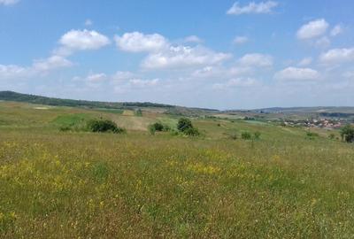 Teren intre Popesti si Corusu(jud. Cluj),in apropierea padurii 4400mp - 3