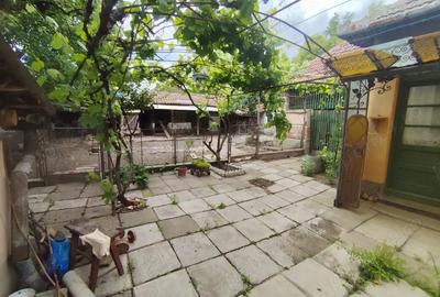 Casă cu 4 camere cu Teren 518 Mp în Pecica - 3