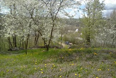 Casă cu 2 camere în Pietrari - 9