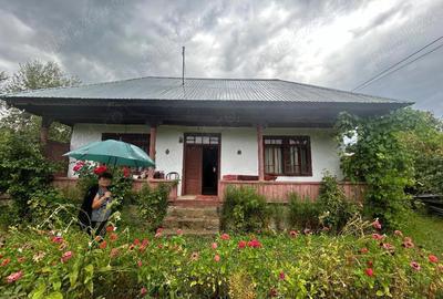 Teren de 2000 mp, în Năruja - 1