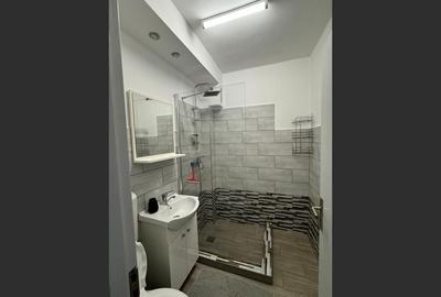 Apartament 3 camere decomandat - Strada Horea - 4