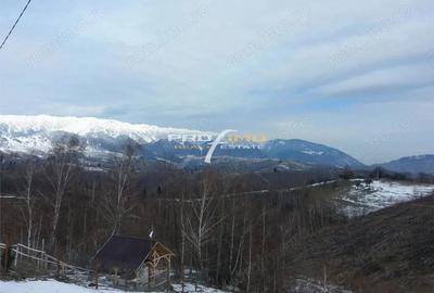 Teren de 3750 mp, în Moieciu - 8