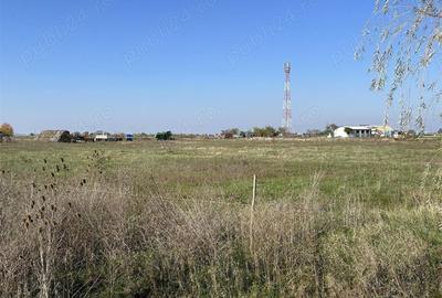 Teren de 22000 mp, în Livada - 2