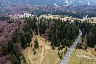 Teren de 1000 mp, în Poiana Brașov