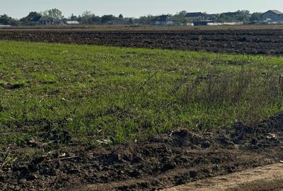 Vanzare Teren  Magurele Varteju 520mp - 1