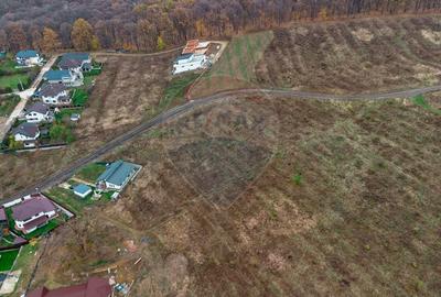 Teren Construcții intravilan de 1286 mp, în Bârnova - 4