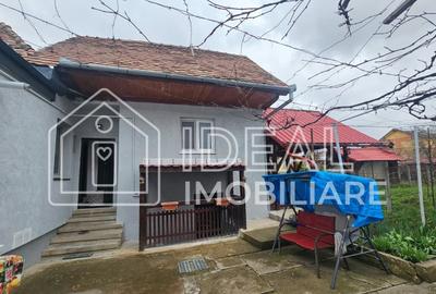 Casă individuală cu 3 camere cu Canalizare în Vasile Aaron - 15
