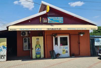 Spațiu comercial, de 450 mp, în Exterior Vest - 4