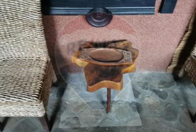 Vanzare Casa-Conac boieresc stil Baroc cu teren in Stoenesti, jud Olt - 46