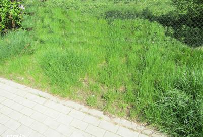 Teren de 750 mp, în Vințu de Jos - 1