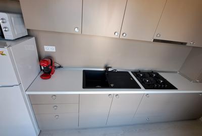APARTAMENT 2 CAMERE LUX ULTRACENTRAL BLOC NOU LA PRIMA INCHIRIERE - 14