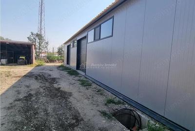 Inchiriere HALA 240 mp Constructie Noua Alexandria - 8