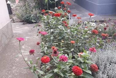 Casă cu 3 camere cu Teren 840 Mp în Central - 8