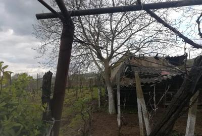 Casă cu 3 camere în Balabancea - 13