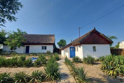 Delta Dunarii, Romania, localitatea LETEA, proprietate de VIS, - 4