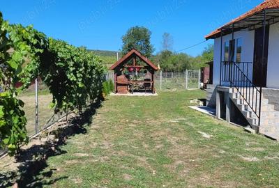 Vind casa Sat Balanesti,Gorj - 3