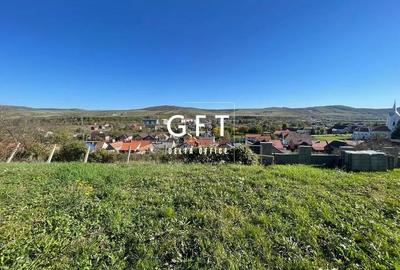 Teren de 2700 mp, în Viișoara