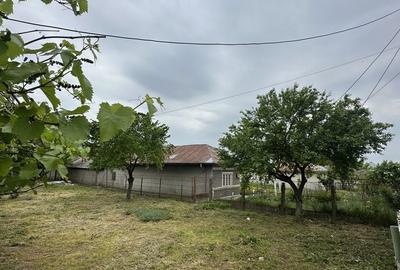 Casă cu 4 camere cu Teren 1110 Mp în Central - 1