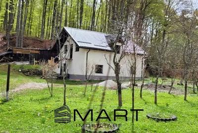 Casă individuală cu 4 camere cu Teren 800 Mp în Avrig - 1