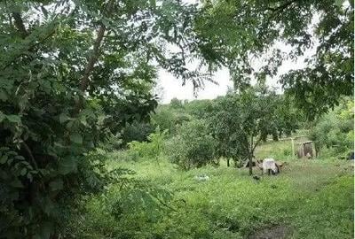 Casa si teren Costinesti, Botosani, ID: R2728052 - 16