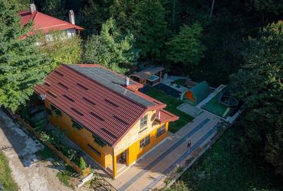 Casa de vacanta superba in Crivaia - 20