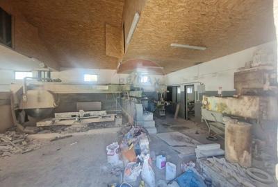 Spațiu industrial, de 290 mp, în Almaș - 12