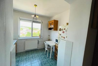 RECO APARTAMENT CU DOUA CAMERE IN BEIUS - 9