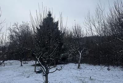 Casă cu 8 camere decomandat cu Teren 1000 Mp în Cornu - 2