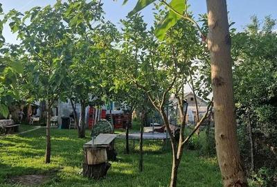 Casă cu 2 camere decomandat în Măldăeni - 7