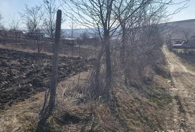 Teren de 900 mp, în Cuza Vodă (Popricani) - 2