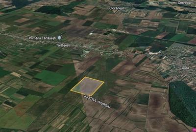 Vanzare teren agricol Tartasesti - Gulia, Dambovita - 3