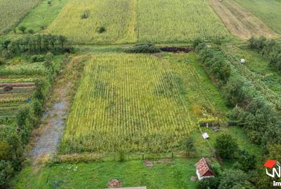 Casă individuală cu 10 camere cu Teren 4987 Mp în Iclod - 2