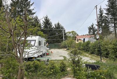 Teren de 1000 mp, în Râu Sadului - 1