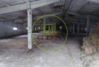 Spațiu industrial, de 7,000 mp, în Pielești - 3