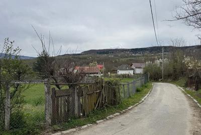 Spațiu comercial, în Bujoreni - 3