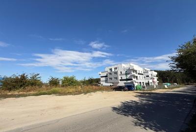 Intravilan 3120mp CU P+2+Mr | AC Spatii Comerciale | Str. Alunis x Codrului - 12