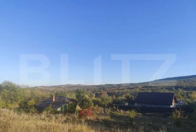 Teren de 2700 mp, în Tomești - 1