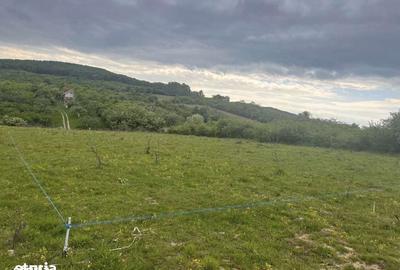 Teren de 500 mp, în Central - 11