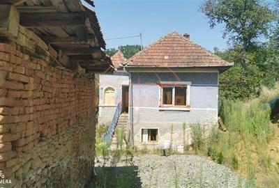 De vanzare casa si grajd +3000/? teren livada in Sumurducu - Sanpaul - 7