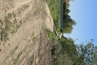 Teren de 5000 mp, în Lacu Sărat - 1