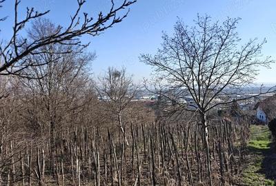 Teren în Central - 2