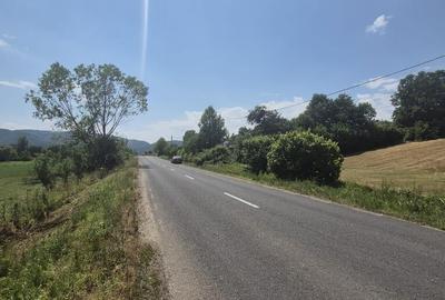 Teren de 5500 mp, în Berința - 2