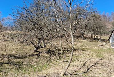 Spațiu comercial, în Central - 2