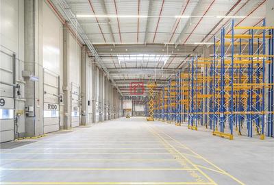 Spațiu comercial, de 10,000 mp, în Bolintin-Deal - 14