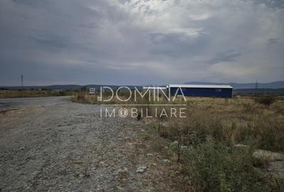 Teren intravilan - 1070 mp - str. Ciocarlau - spre Preajba - 7