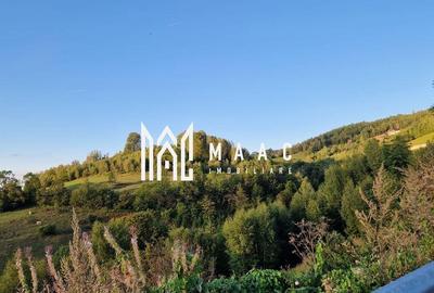 Spațiu comercial, în Râmeț - 8