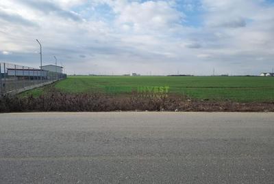 TEREN INDUSTRIAL 8000 MP  LA DN4, ACCES DIRECT! - 4